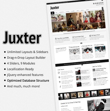 Juxter - Powerful and Elegant WordPress Theme